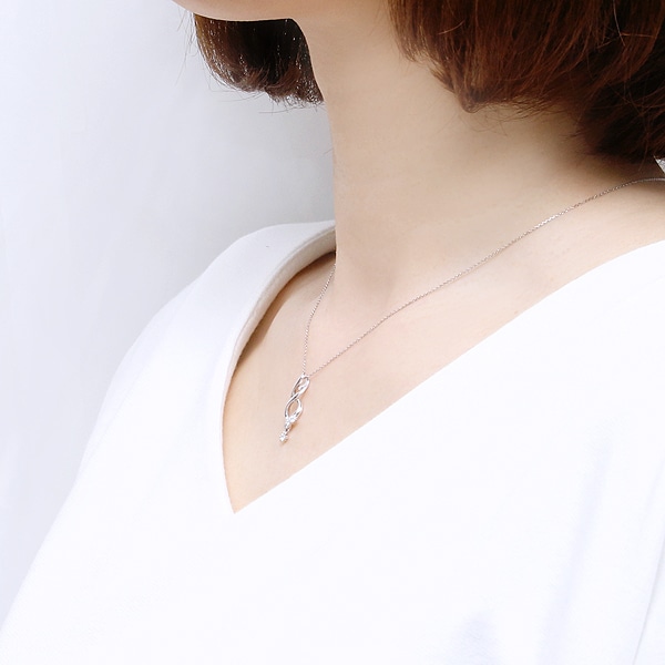 �v���`�i�_�C�������h�l�b�N���X