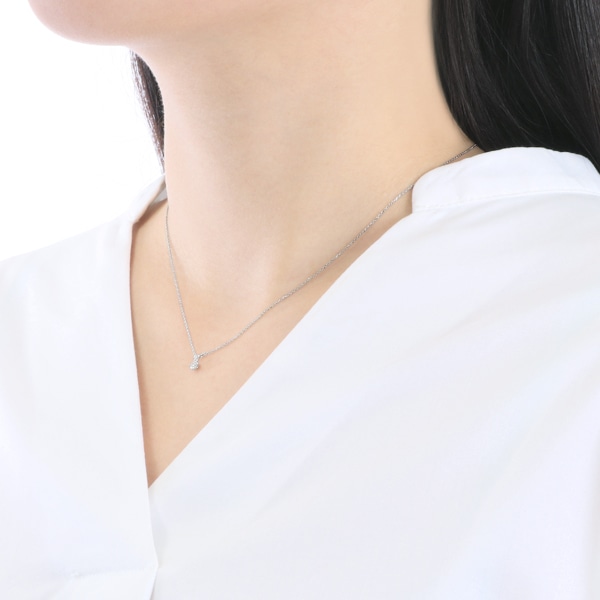 �v���`�i�_�C�������h�l�b�N���X