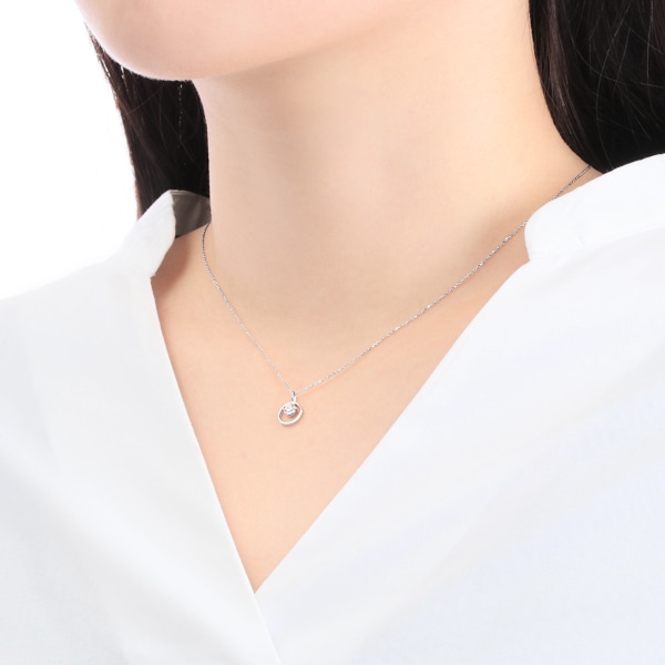 �v���`�i�_�C�������h�l�b�N���X