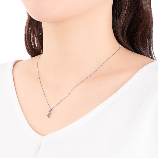 �v���`�i�_�C�������h�l�b�N���X