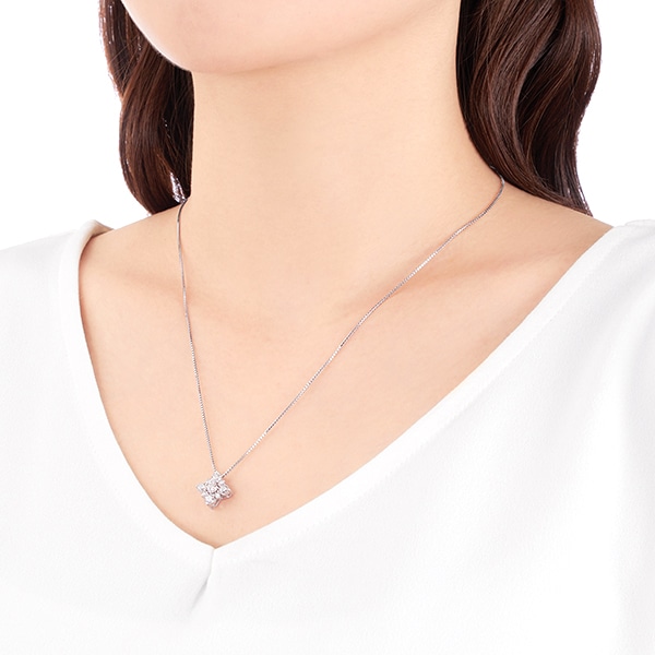 �v���`�i�_�C�������h�l�b�N���X