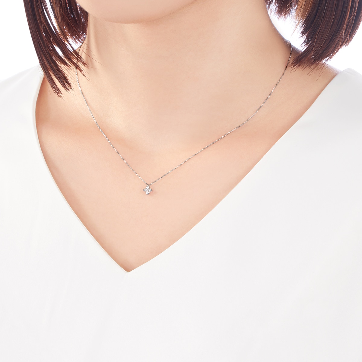 �v���`�i�_�C�������h�l�b�N���X