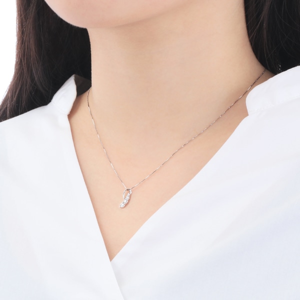 �v���`�i�_�C�������h�l�b�N���X