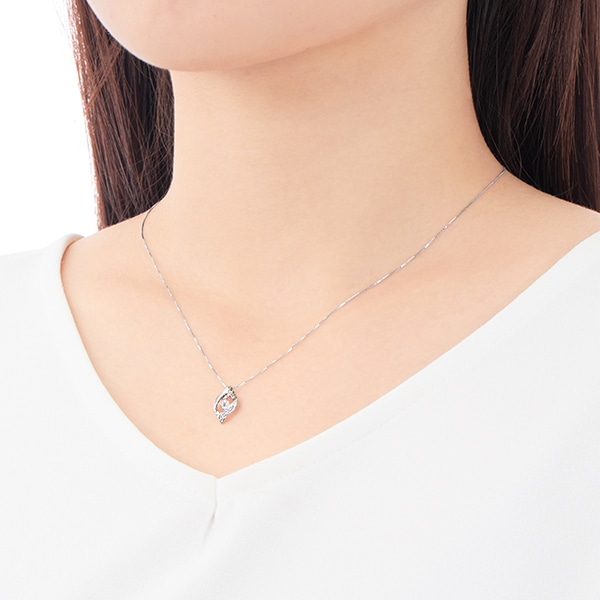 �v���`�i�_�C�������h�l�b�N���X