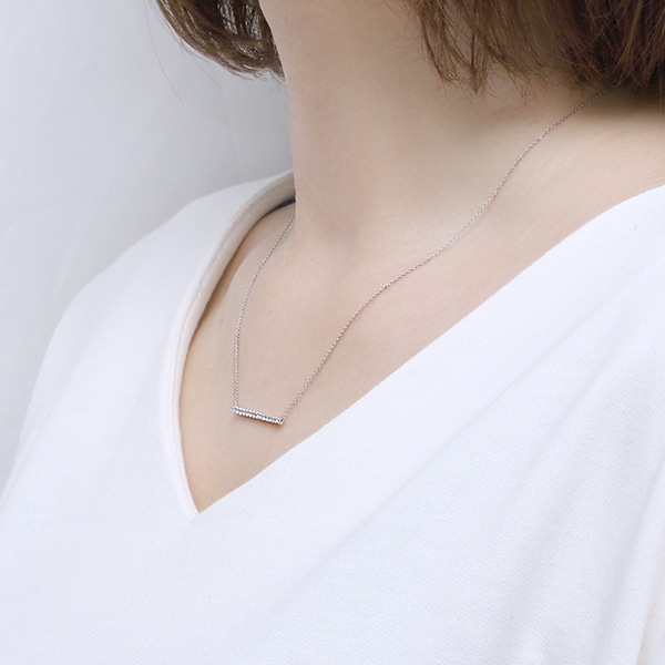 �v���`�i�_�C�������h�l�b�N���X