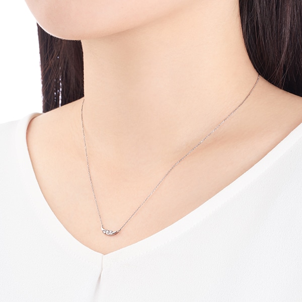 �v���`�i�_�C�������h�l�b�N���X