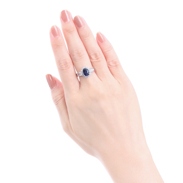 �v���`�i�T�t�@�C�A�����O