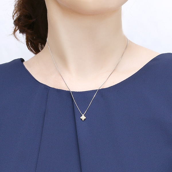 �v���`�i�Ӓ菑�t�_�C�������h�l�b�N���X�i0.18�J���b�g�j