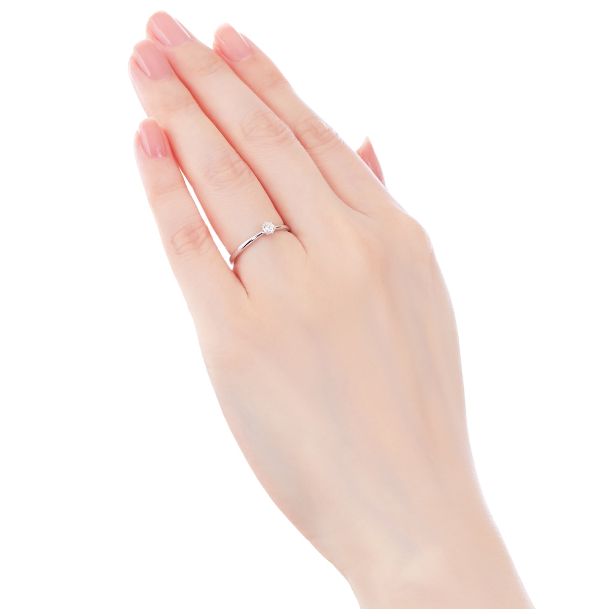 �v���`�i�Ӓ菑�t�_�C�������h�����O�i0.13�J���b�g�j