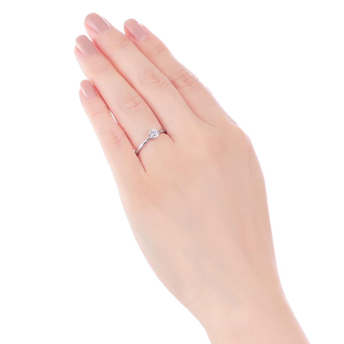 �v���`�i�Ӓ菑�t�_�C�������h�����O�i0.3�J���b�g�j