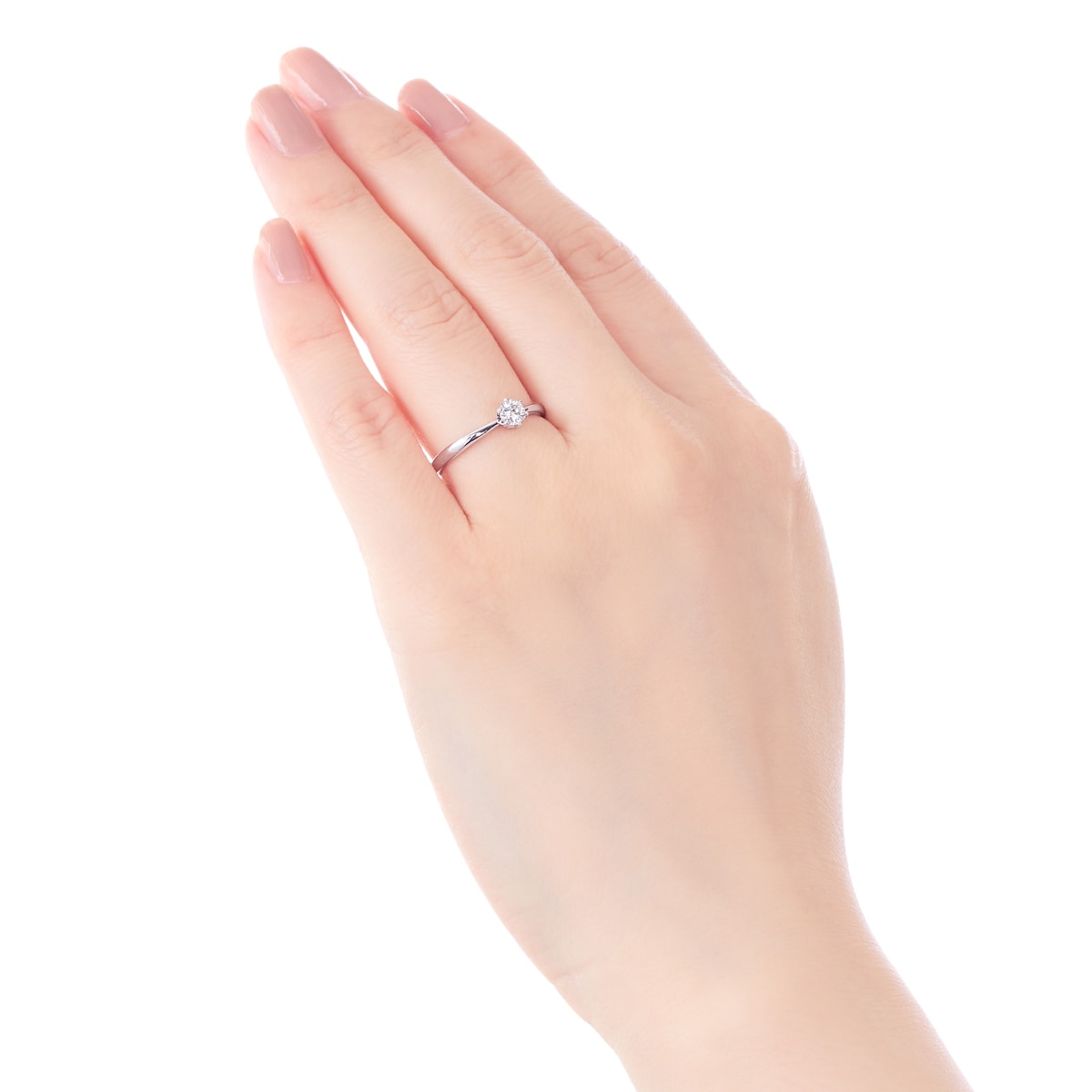 �v���`�i�Ӓ菑�t�_�C�������h�����O�i0.26�J���b�g�j