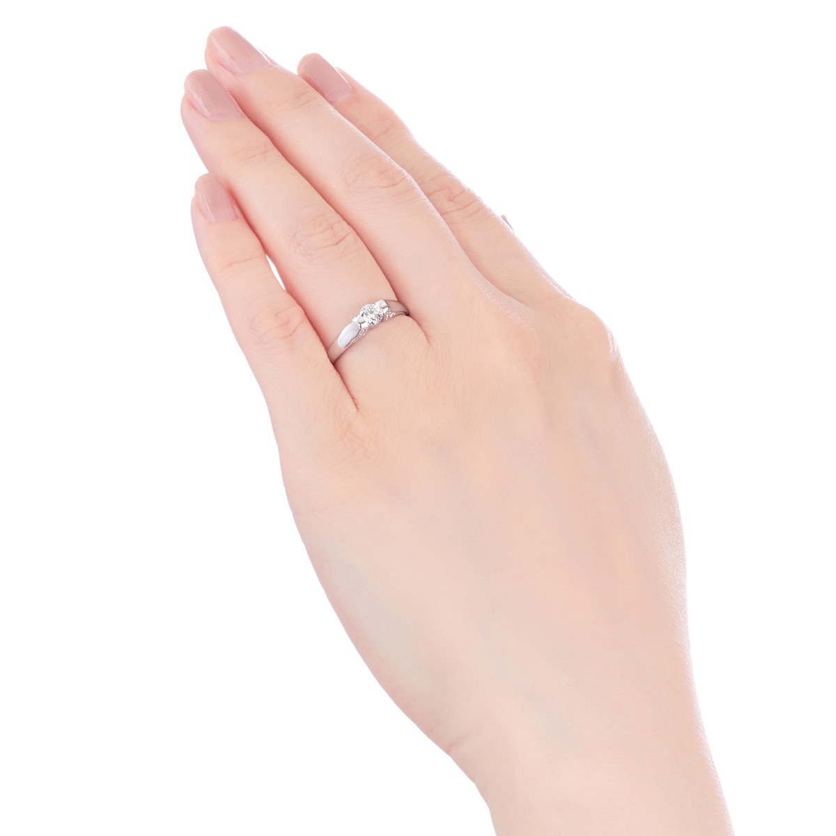 �v���`�i�Ӓ菑�t�_�C�������h�����O�i0.3�J���b�g�j