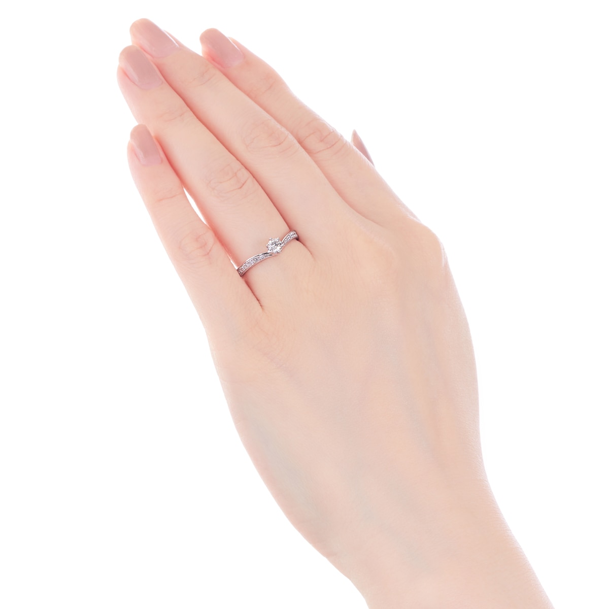 �v���`�i�Ӓ菑�t�_�C�������h�����O�i0.19�J���b�g�j