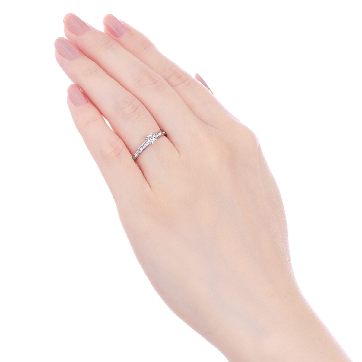 �v���`�i�Ӓ菑�t�_�C�������h�����O�i0.17�J���b�g�j