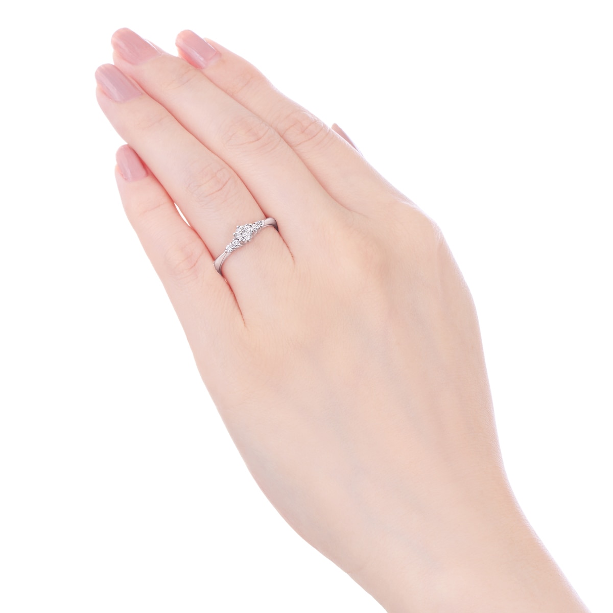 �v���`�i�Ӓ菑�t�_�C�������h�����O�i0.23�J���b�g�j