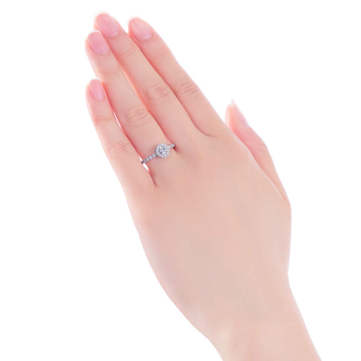 �v���`�i�Ӓ菑�t�_�C�������h�����O�i0.18�J���b�g�j