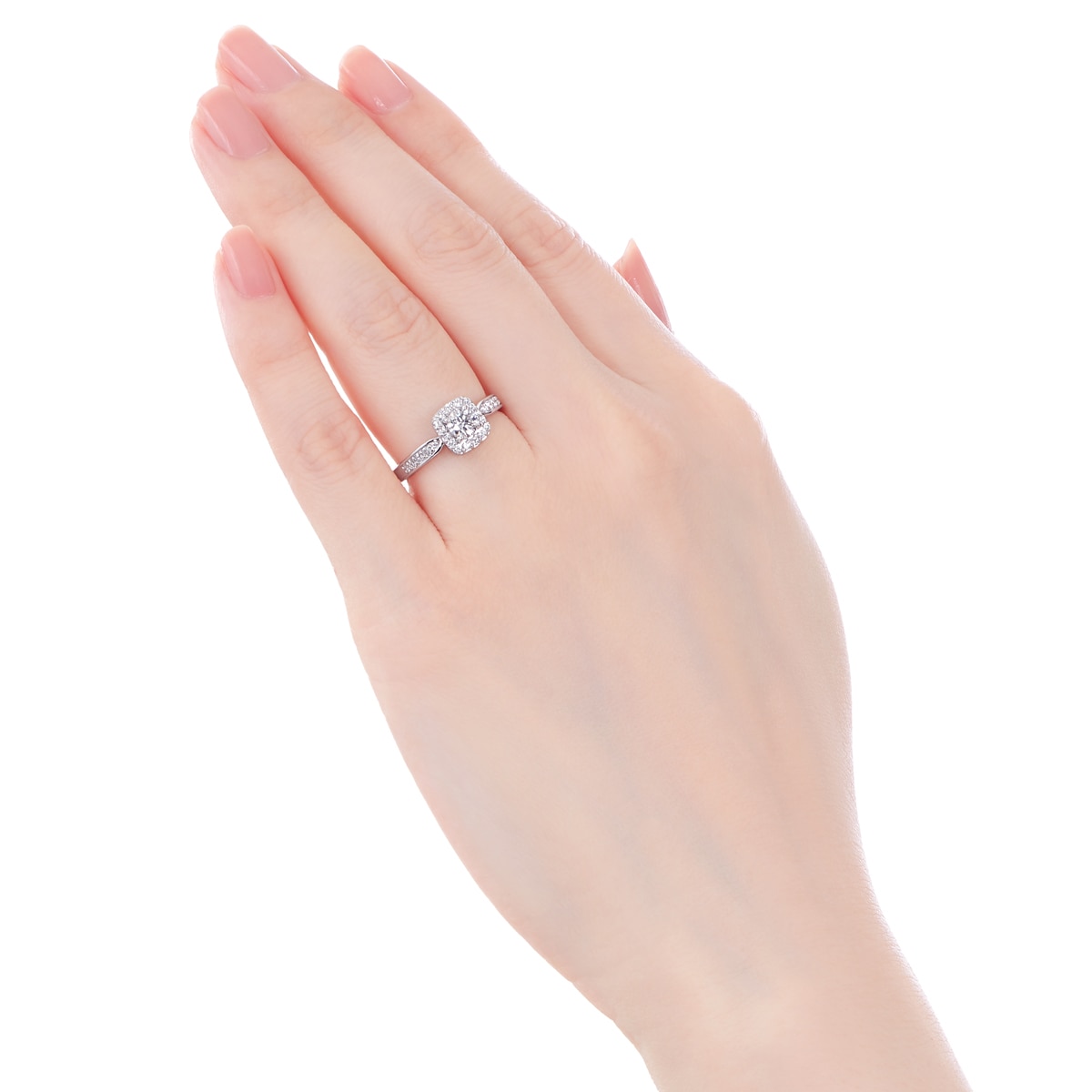 �v���`�i�Ӓ菑�t�_�C�������h�����O�i0.34�J���b�g�j