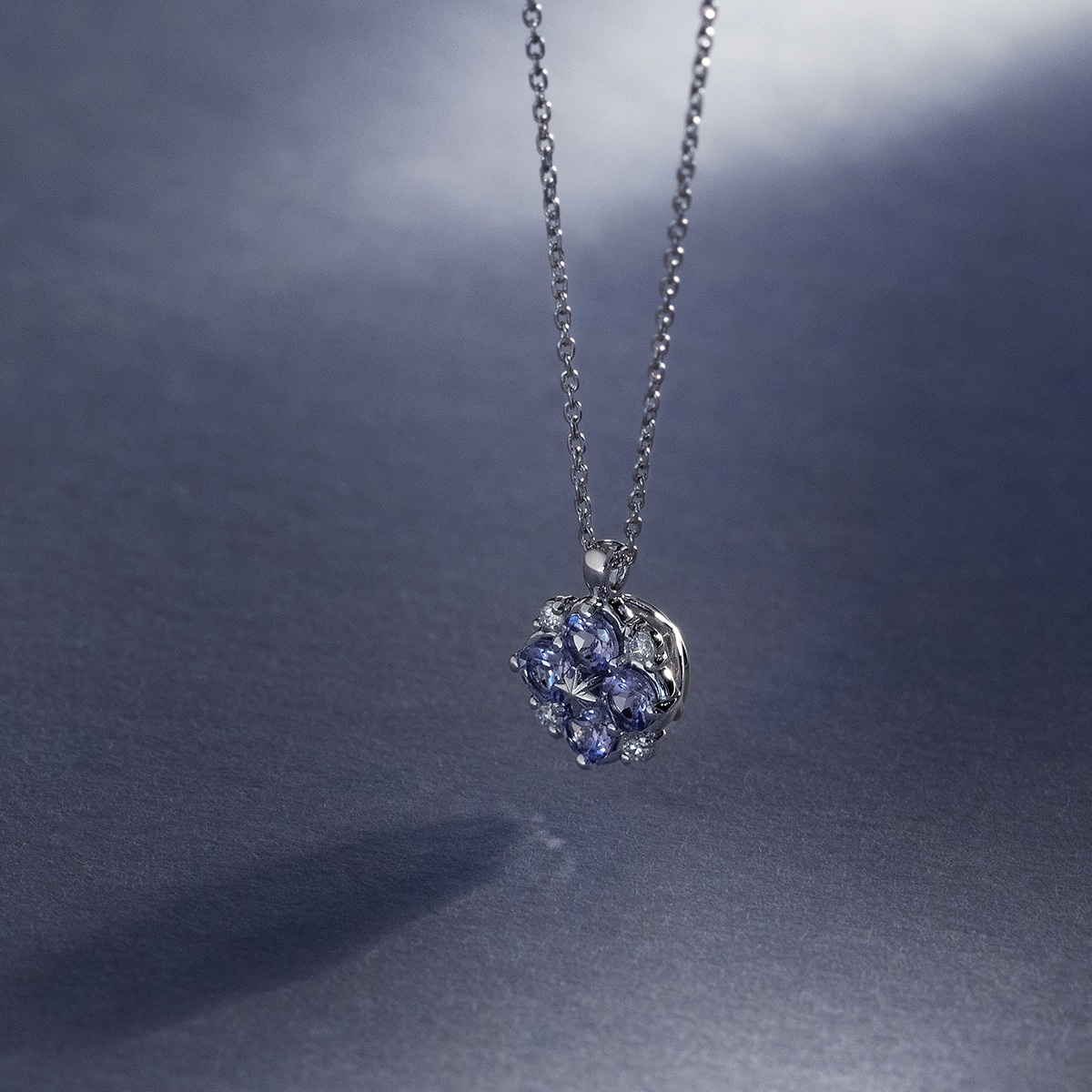 �v���`�i�^���U�i�C�g�l�b�N���X