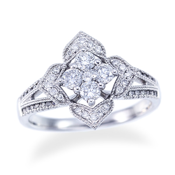 �v���`�i�_�C�������h�����O