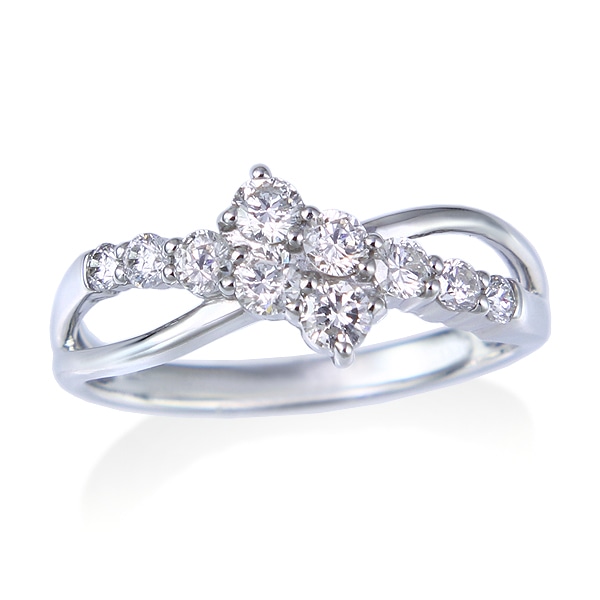 �v���`�i�_�C�������h�����O