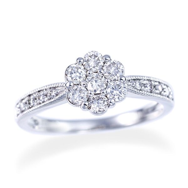 �v���`�i�_�C�������h�����O