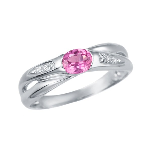 �v���`�i�s���N�X�s�l�������O