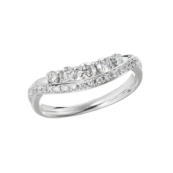 �v���`�i�_�C�������h�����O