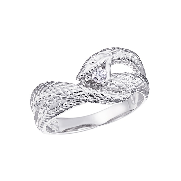 �v���`�i�_�C�������h�����O