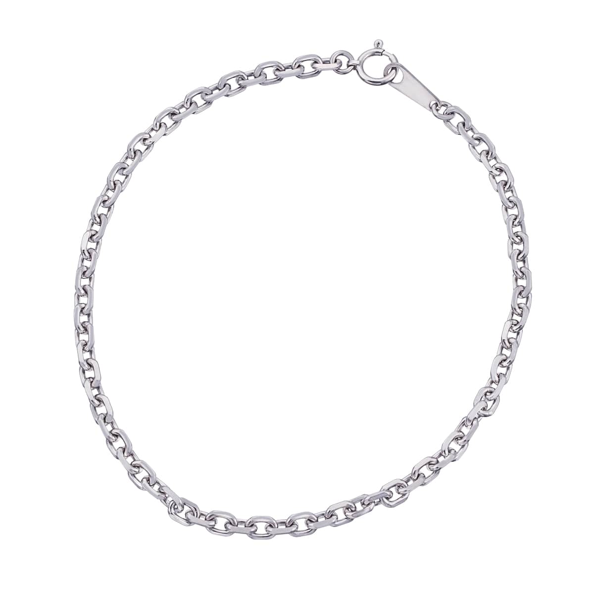 �v���`�i�u���X���b�g