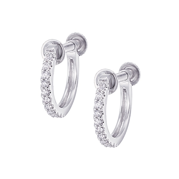 �v���`�i�_�C�������h�C�������O