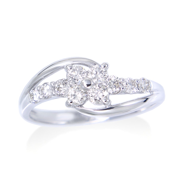 �v���`�i�_�C�������h�����O