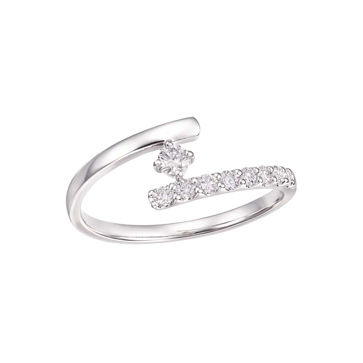 �v���`�i�_�C�������h�����O