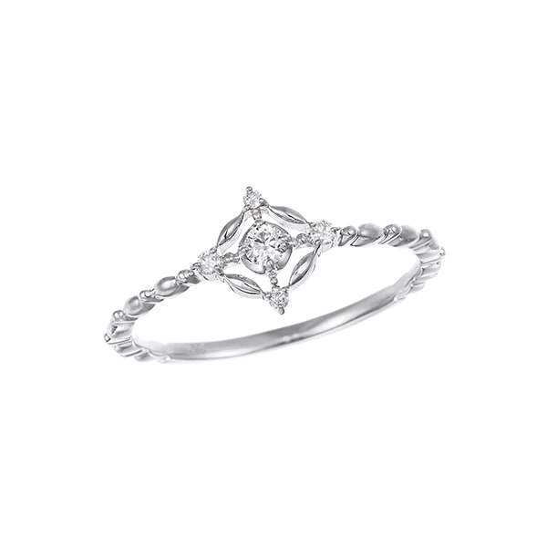 �v���`�i�_�C�������h�����O