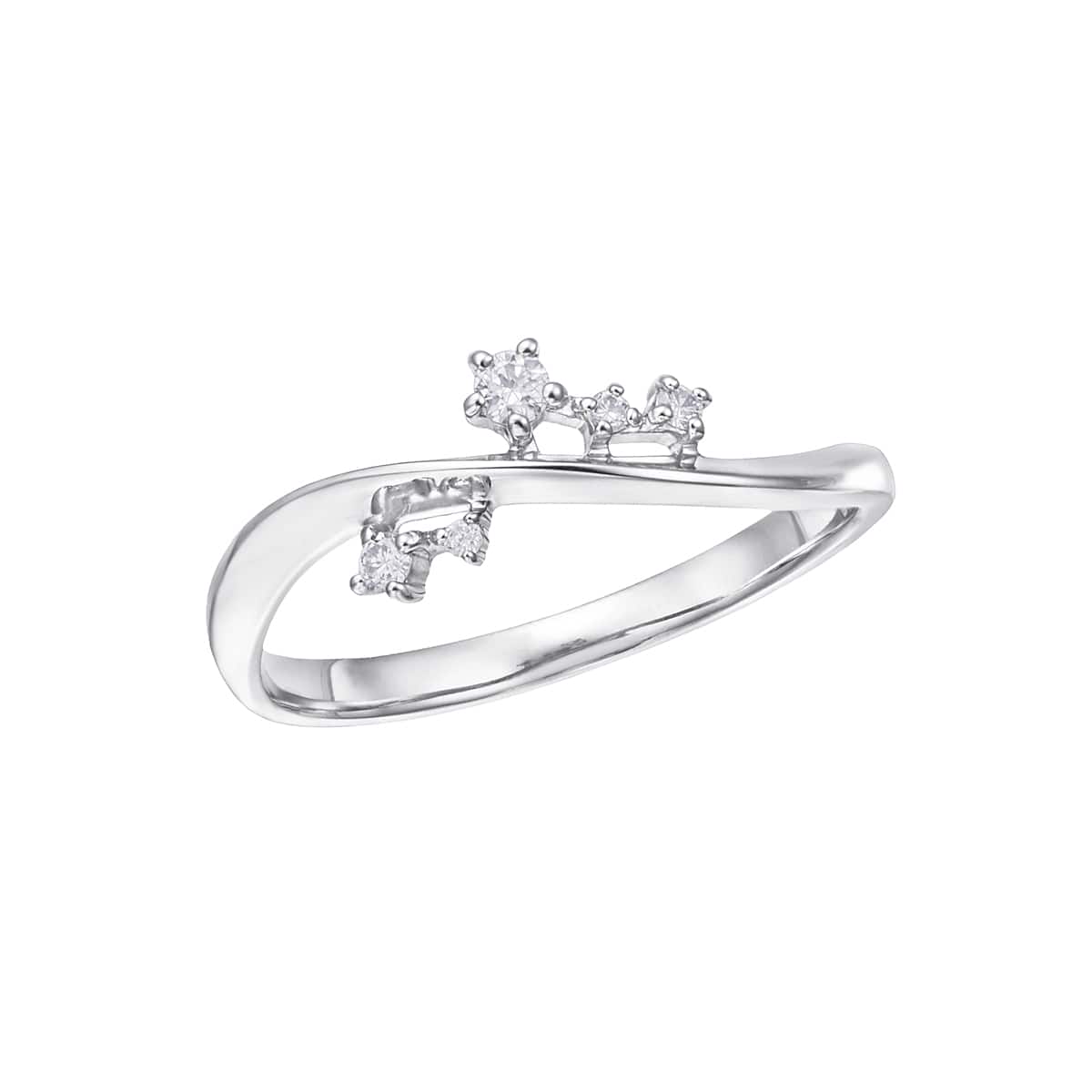 �v���`�i�_�C�������h�����O