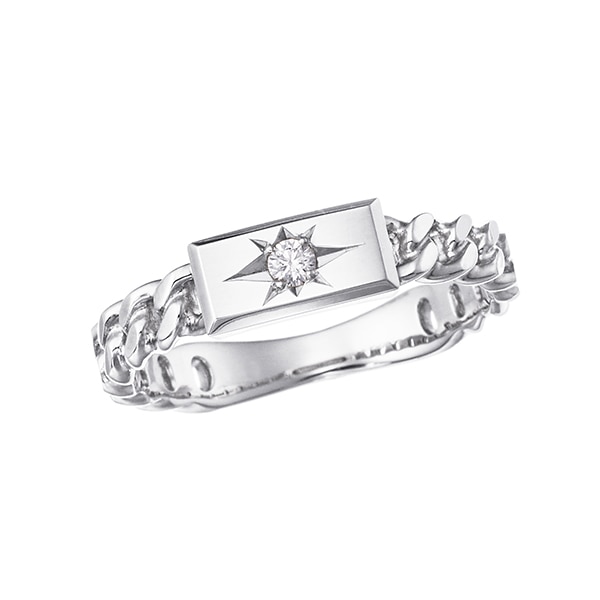 �v���`�i�_�C�������h�����O