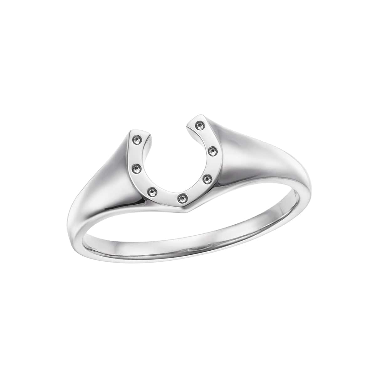 �v���`�i�����O