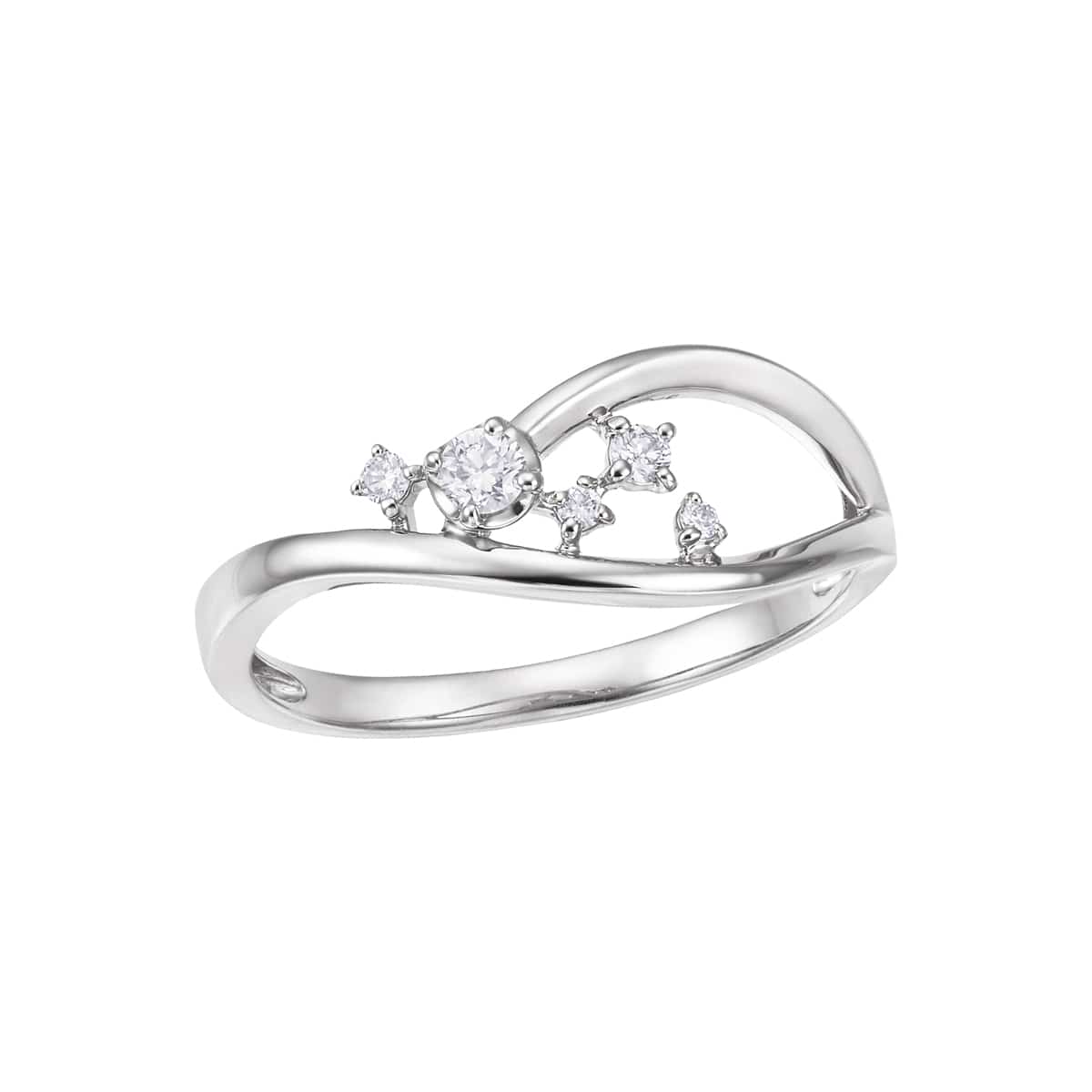 �v���`�i�_�C�������h�����O