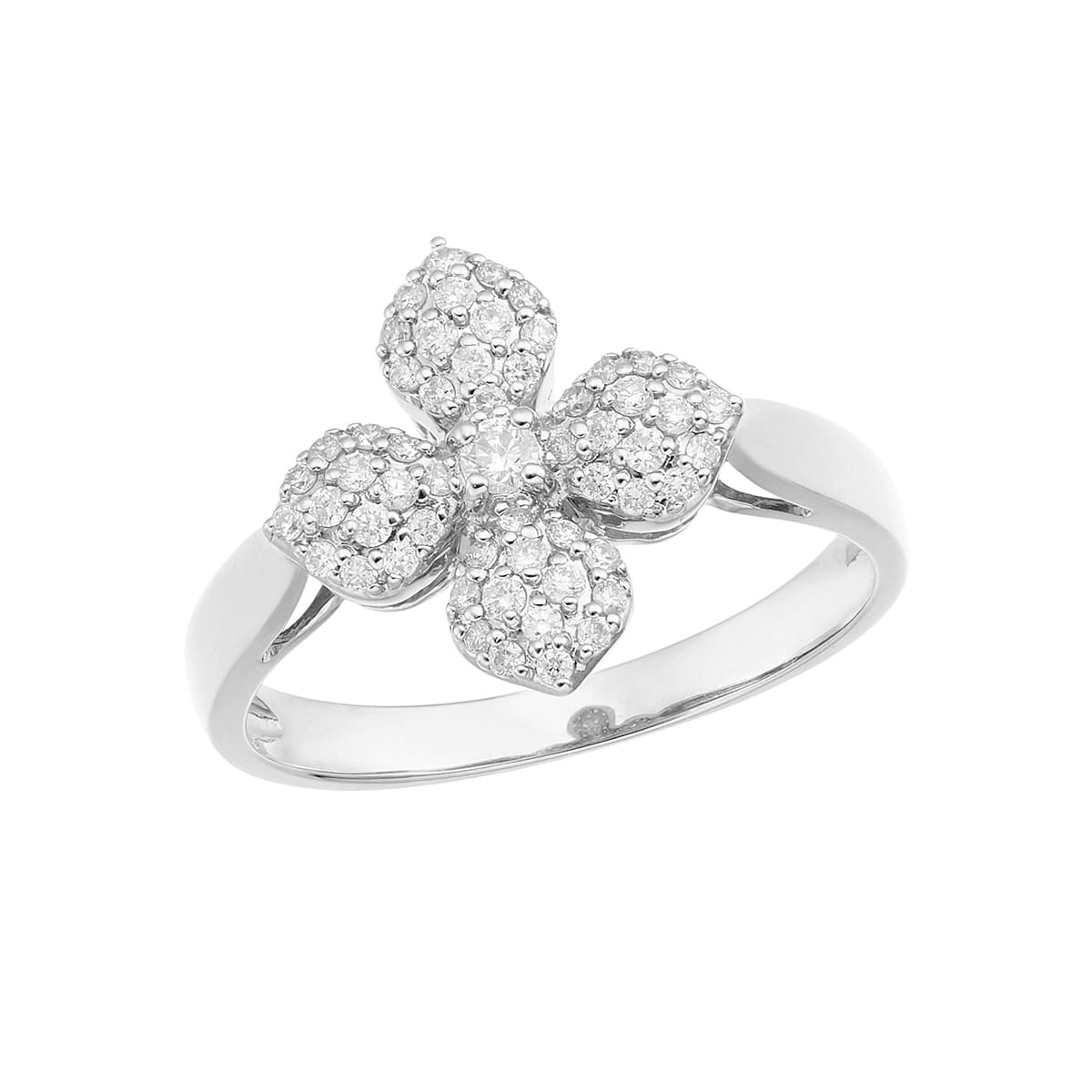 �v���`�i�_�C�������h�����O