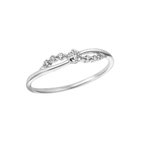 �v���`�i�_�C�������h�����O