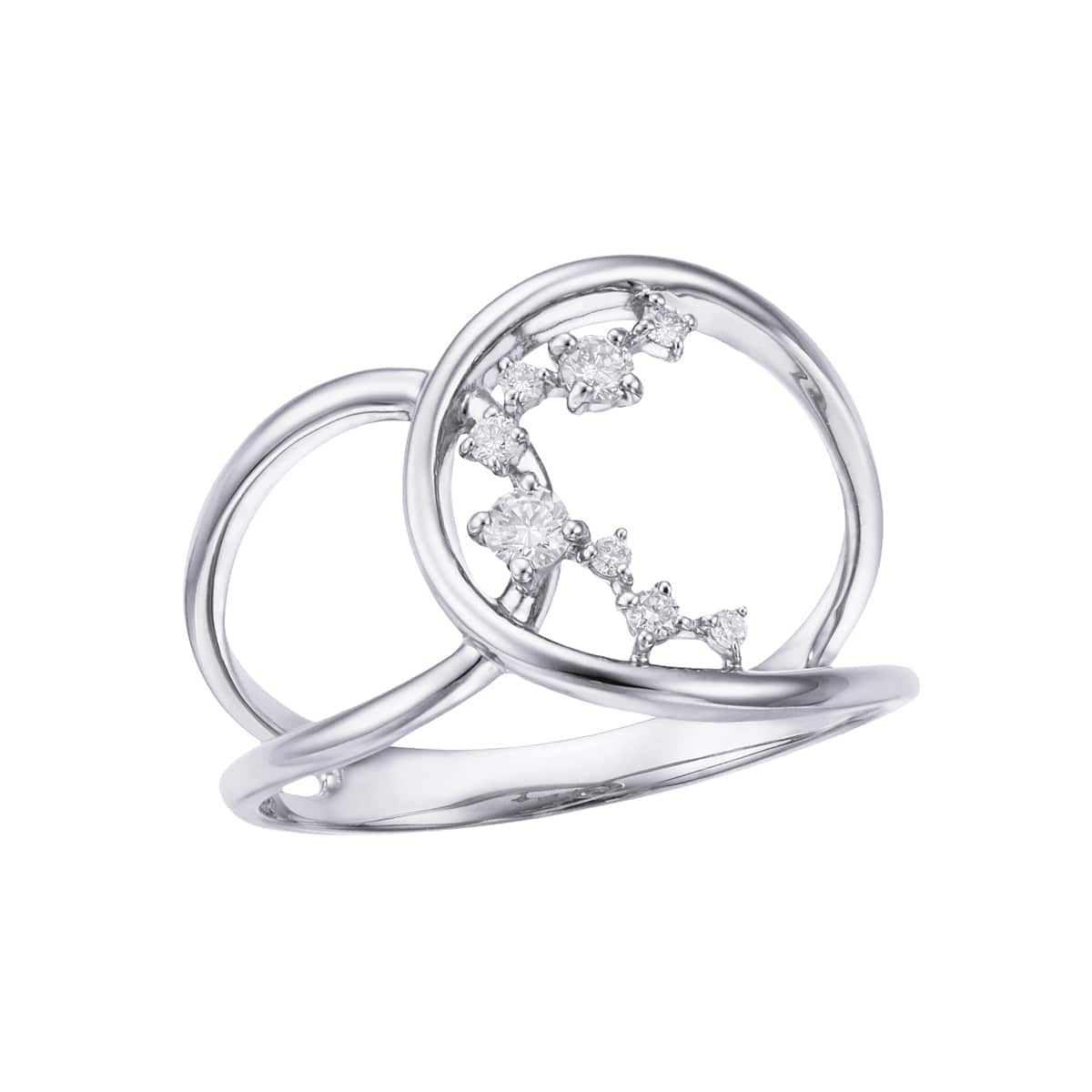 �v���`�i�_�C�������h�����O