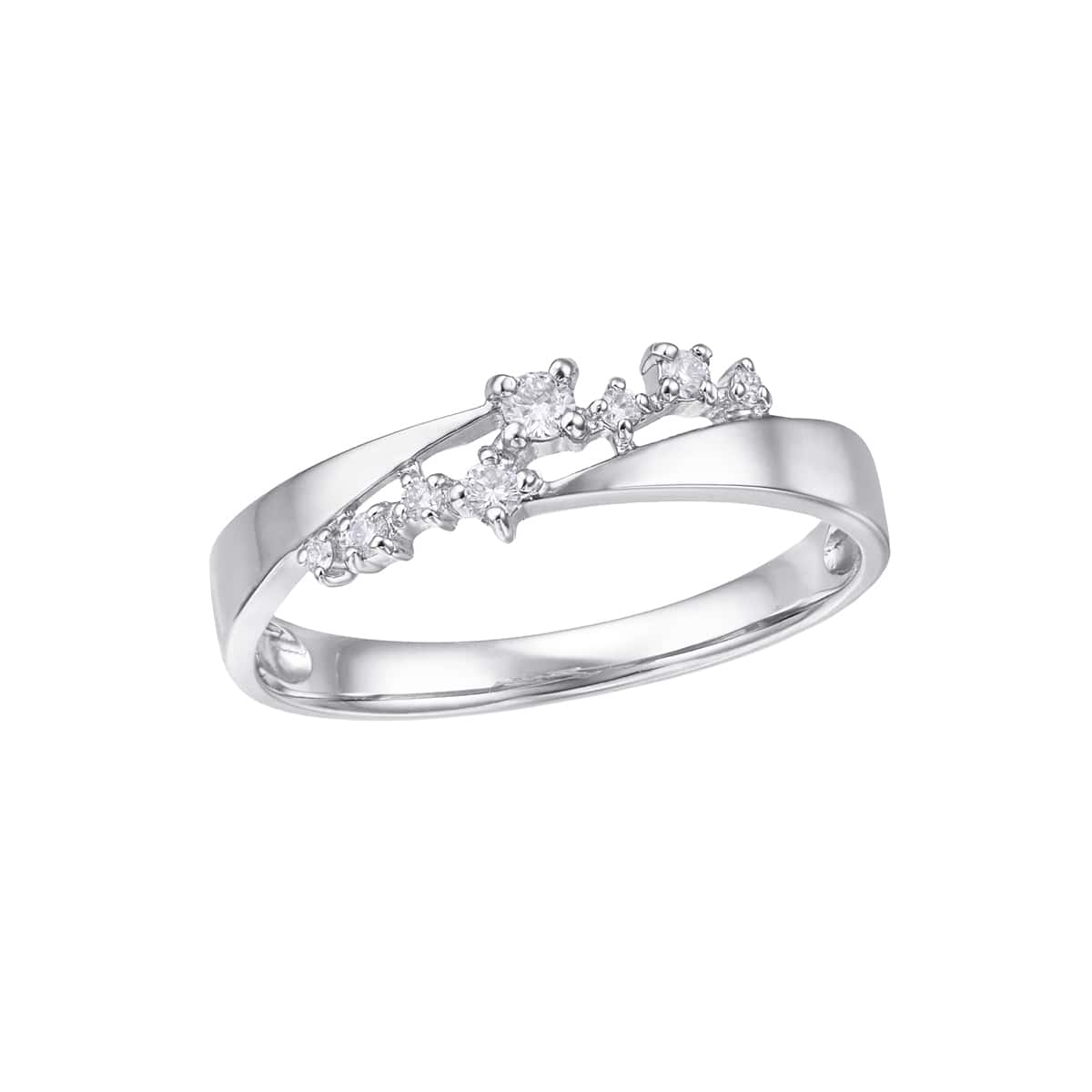 �v���`�i�_�C�������h�����O