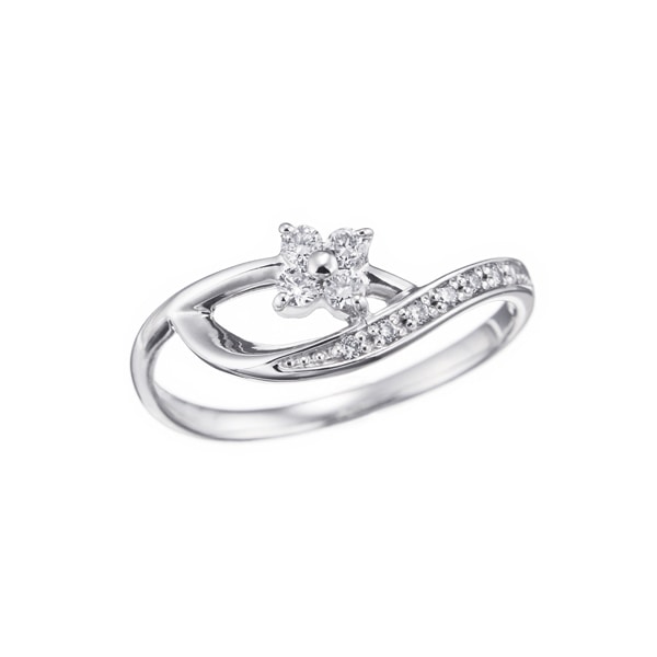 �v���`�i�_�C�������h�����O