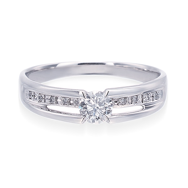 �v���`�i�Ӓ菑�t�_�C�������h�����O�i0.3�J���b�g�j