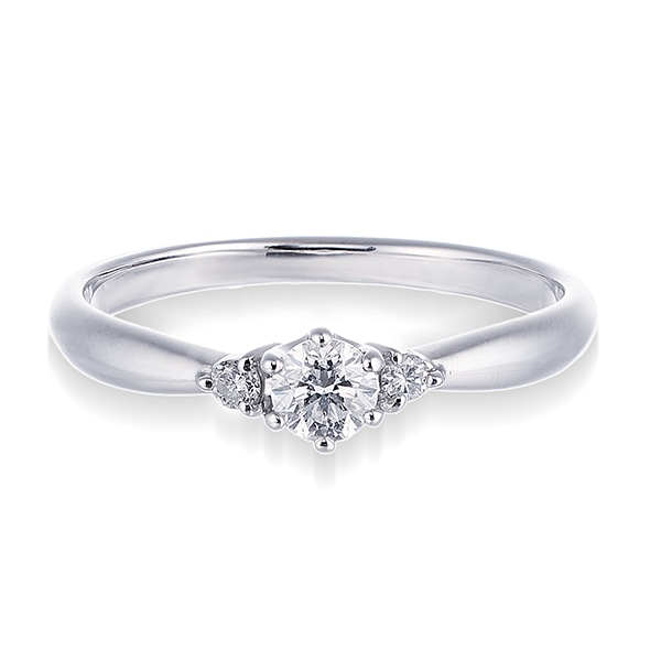 �v���`�i�Ӓ菑�t�_�C�������h�����O�i0.19�J���b�g�j