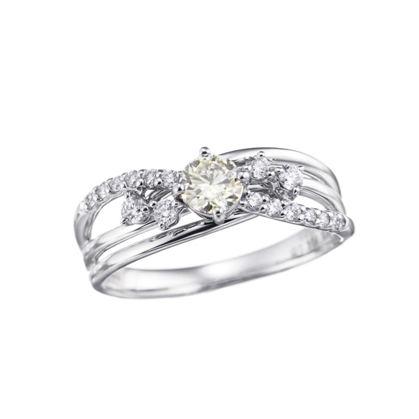 �v���`�i�Ӓ菑�t�_�C�������h�����O�i0.3�J���b�g�j