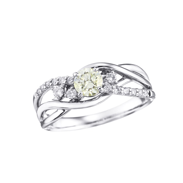 �v���`�i�Ӓ菑�t�_�C�������h�����O�i0.3�J���b�g�j