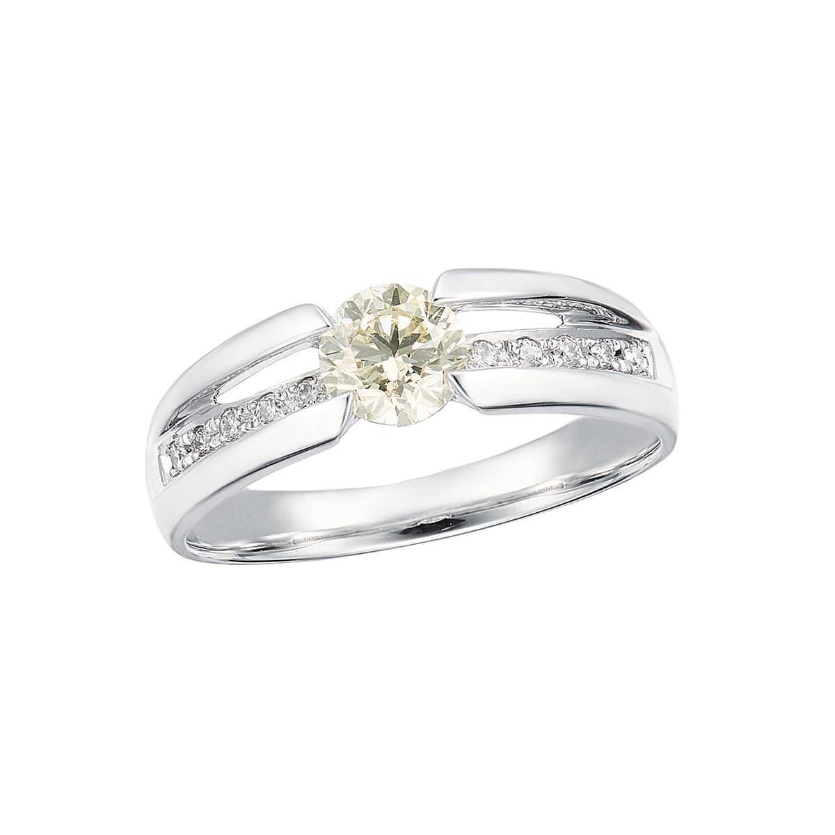 �v���`�i�Ӓ菑�t�_�C�������h�����O�i0.5�J���b�g�j