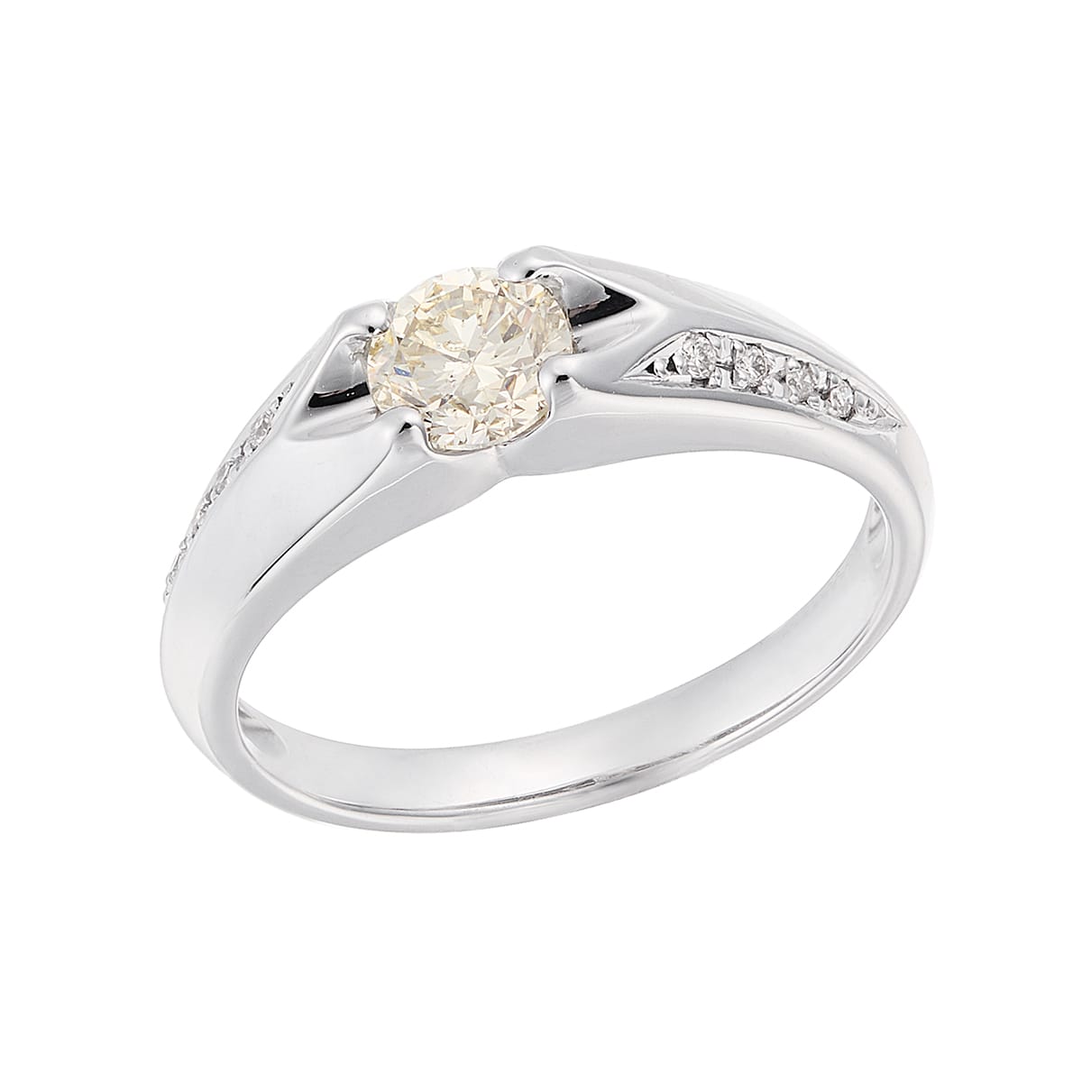 �v���`�i�Ӓ菑�t�_�C�������h�����O�i0.5�J���b�g�j