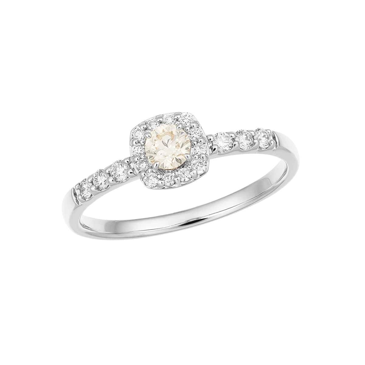 �v���`�i�Ӓ菑�t�_�C�������h�����O�i0.15�J���b�g�j