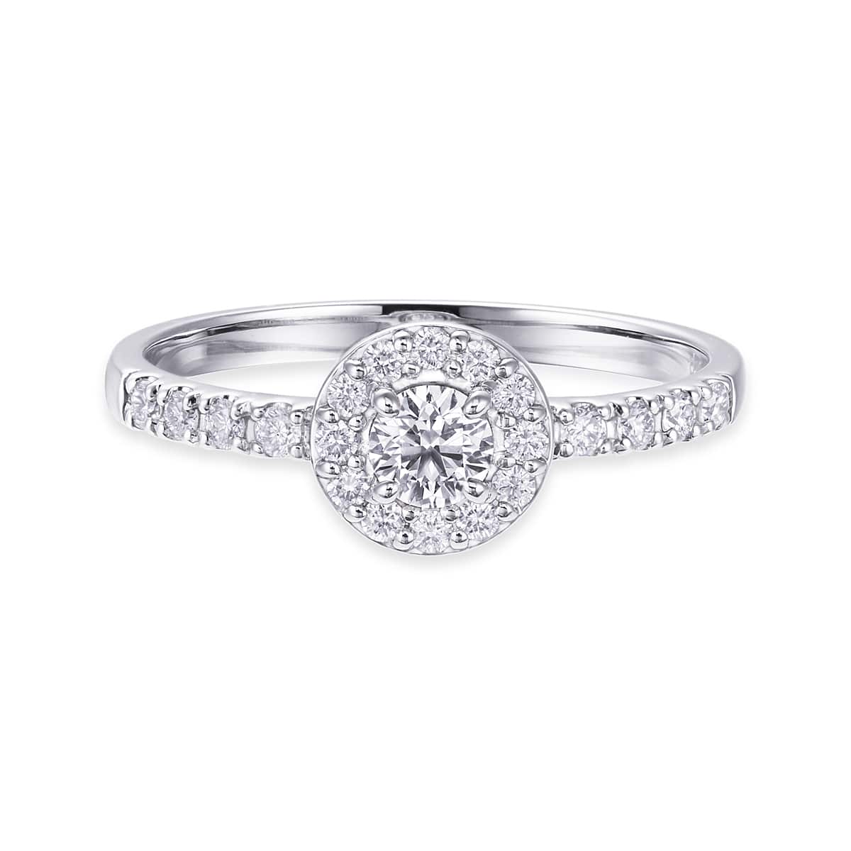 �v���`�i�Ӓ菑�t�_�C�������h�����O�i0.18�J���b�g�j